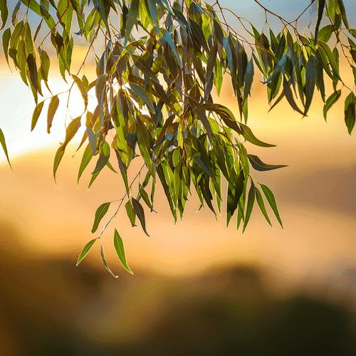 Understanding Baseline Emissions Assessment: A Guide for Businesses 51 Baseline reporting