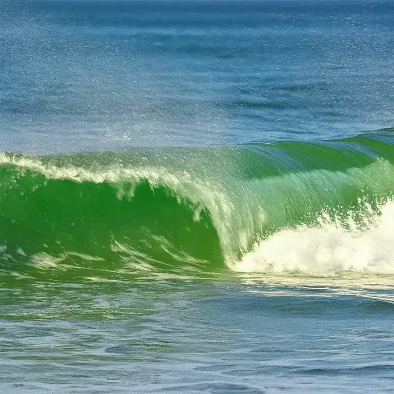 Greenwashing Under the Spotlight: What the ACCC’s Latest Actions Mean for Australian Businesses 10 Green Washing